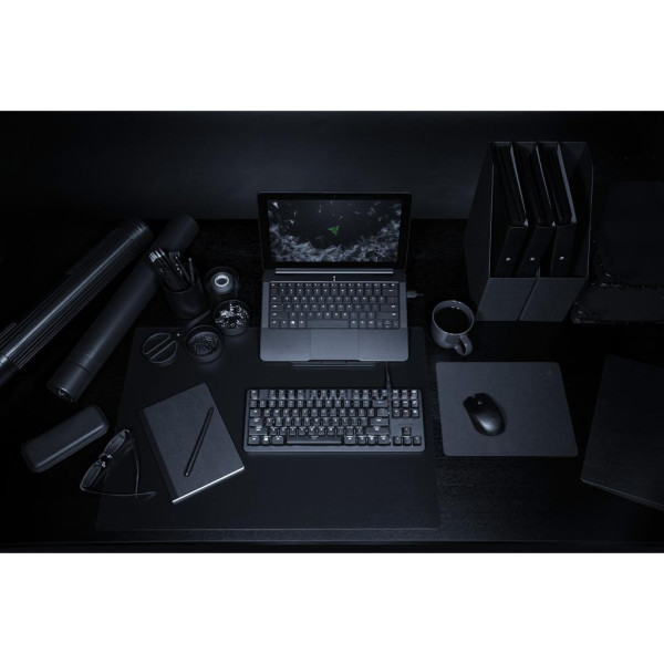 Клавіатура Razer BlackWidow Lite RU (RZ03-02640100-R3M1)