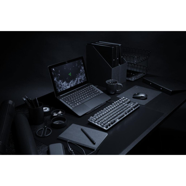 Клавіатура Razer BlackWidow Lite RU (RZ03-02640100-R3M1)